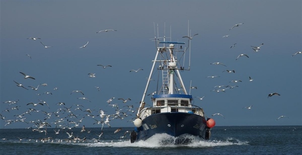 Pesca: da Portofino a Goro, tragedie che riaprono il nodo sicurezza. Fedagripesca chiede all’Ue risorse per modernizzare la flotta